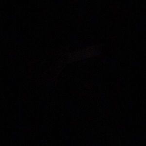 Meet your Posher, Maya